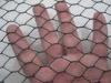 Green Low Carbon Steel Chicken Wire Mesh Fencing Electric Poultry Netting