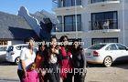 chinese language lessons online mandarin online lessons learn mandarin chinese online