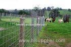 Cattle Vinyl Coated Field Wire Fence , Stainless Steel Wire Netting