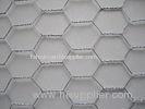 Hot Dipped Galvanized Chicken Wire Mesh