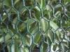 Vinyl Coated Hexagonal Wire Netting