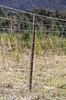 Poultry Zinc Welded Field Wire Fence
