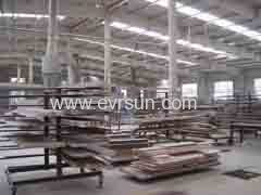 Eversun Industrial Group Co., Ltd