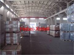Hebei Xinteli Co.,Ltd