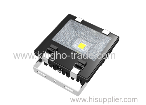 50W IP65 COB Led Projector Light