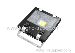 50W IP65 COB Led Flood Light with Built-in Driver