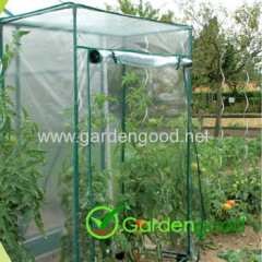 Tomato Greenhouse serre tomato