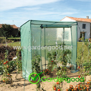 Tomato Greenhouse serre tomato