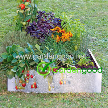 Zinc Square carre potager