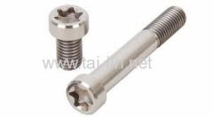 DIN912 titanium fastener gr2