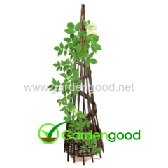 Willow Obelisk osier tuteur