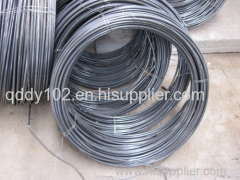 Building Material Hot Rolled Steel Wire Rod in Coil