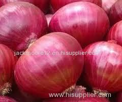 Fresh Onion crop for sale at good rpices