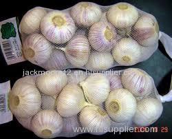 Fresh Land Plant Garlics for sale