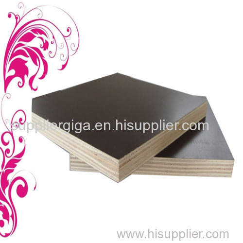 black film faced plywood manufactures