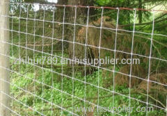 Square Knot Fence for Livestock Farming