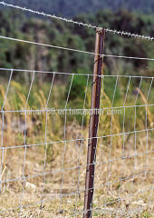 V Mesh Fence - The Safest Fence for Horses ; Dogs
