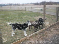 Horse Fencing - Non Climb ; Diamond Mesh