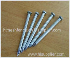 5kg Package Common Iron nail factory