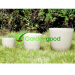 biodegradable Classic Flower Pot fleur