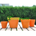 biodegradable Classic Flower Pot fleur