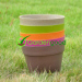 biodegradable Classic Flower Pot fleur