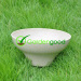 biodegradable Classic Flower Pot fleur