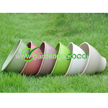 biodegradable Classic Flower Pot fleur