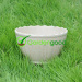 biodegradable Classic Flower Pot fleur