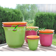 biodegradable Sunny Flower Pot fleur