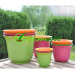 biodegradable Sunny Flower Pot fleur