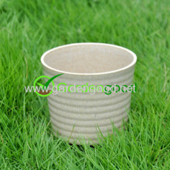 biodegradable Roost Flower Pot fleur