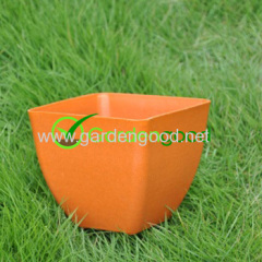 biodegradable Roost Flower Pot fleur