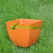 biodegradable Roost Flower Pot fleur