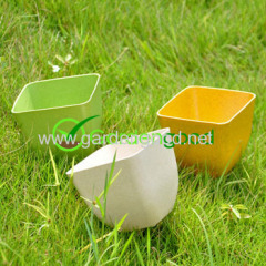 biodegradable Roost Flower Pot fleur