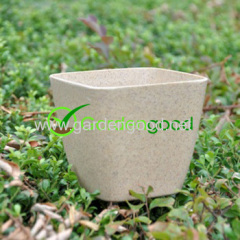 biodegradable Roost Flower Pot fleur