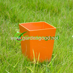 Biodegradable Roost Flower Pot fleur