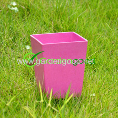 Biodegradable Roost Flower Pot fleur