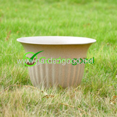 Biodegradable Rome Flower Pot fleur