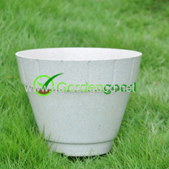 Biodegradable Rome Flower Pot fleur