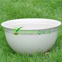 Biodegradable Rome Flower Pot fleur