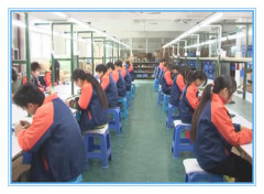 Shenzhen Changsheng Excellence Electronic Technology Co., Ltd.