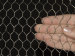 Hexagonal Chicken Wire Mesh