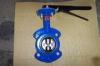 Energy Saving GGG40 / GGG50 Two Shaft Wafer Butterfly Valve For Air, Steam, Water