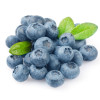 Bilberry Extract Anthocyanins 5% 10% 25%