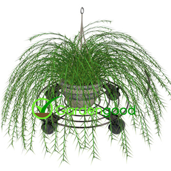 Pot Support metal wicker