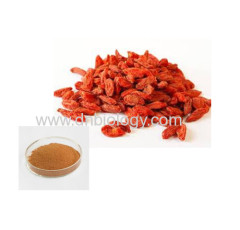 Wolfberry Extract China Wolfberry Extract Lycium Barbarum L