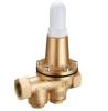 Bronze Pressure Reducing Valve