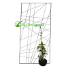 garden metal trellis decoratif treillage