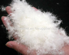 Good quality 70% white duck down and feather